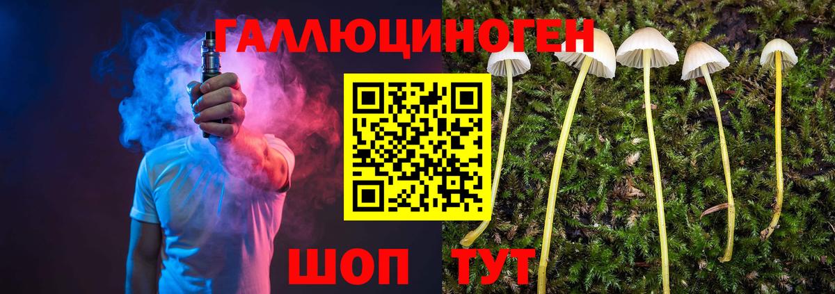 Псилоцибиновые грибы MAGIC MUSHROOMS  Вход с VPN  Зерноград 